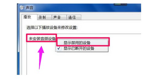 11-顯示禁用設備