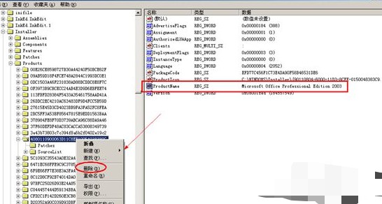 9-刪除項(xiàng)目 9-刪除項(xiàng)目