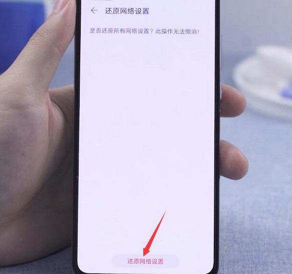 20-紅色字體的還原網絡設置