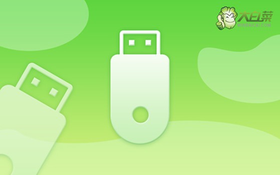 買了臺(tái)網(wǎng)吧老電腦怎么重裝系統(tǒng)?老電腦重裝系統(tǒng)教程圖示