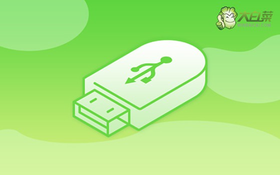 大白菜U盤重裝系統(tǒng)教程?大白菜U盤裝系統(tǒng)教程win10